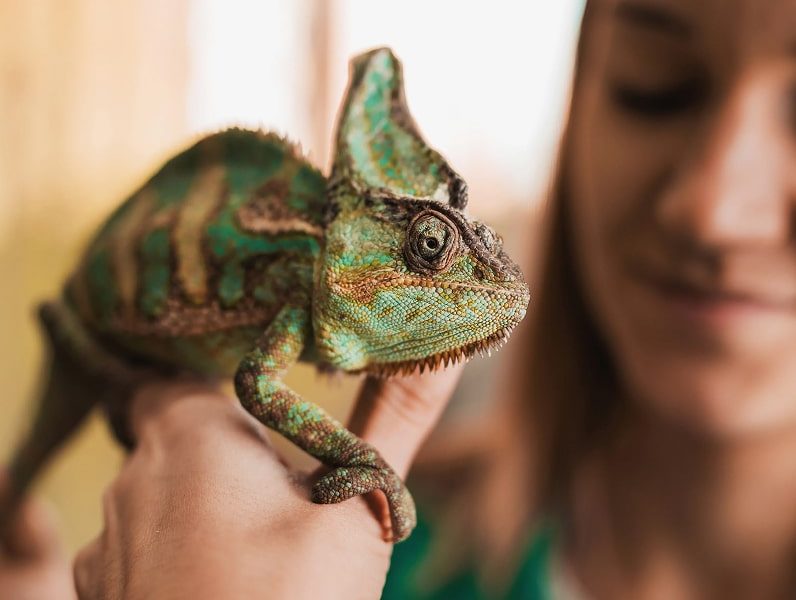 Rectangle 34626906-min