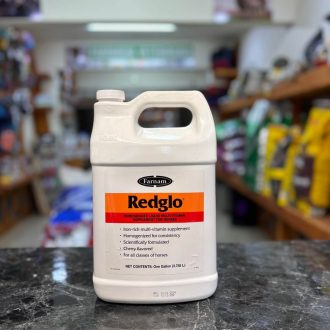 WhatsApp Image 2025-07-14 at 2.32.57 PM