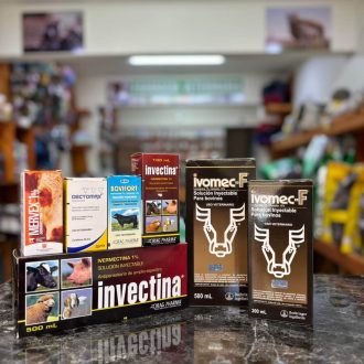 WhatsApp Image 2025-07-14 at 2.32.59 PM