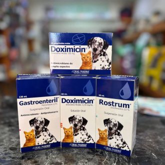 WhatsApp Image 2025-07-14 at 2.33.00 PM-2